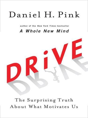 Drive cover